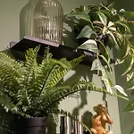 Apartment Secret Jungle - By Prim0 C0nciergerie *