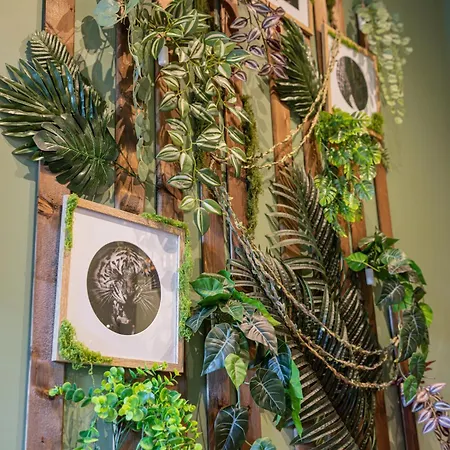 Secret Jungle - By Prim0 C0nciergerie Apartment Royat