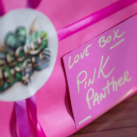 Secret Jungle - By Prim0 C0nciergerie דירה *